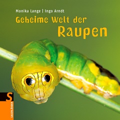 Geheime Welt der Raupen